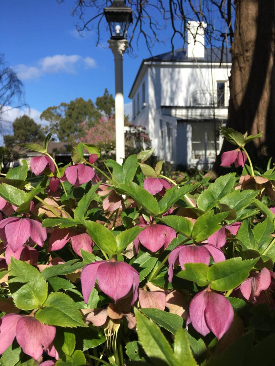 Boscobel Of Tasmania Bed & Breakfast Ulverstone Ngoại thất bức ảnh